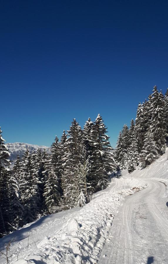 Vvf Les 7 Laux Massif De Belledonne Prapoutel Exterior foto